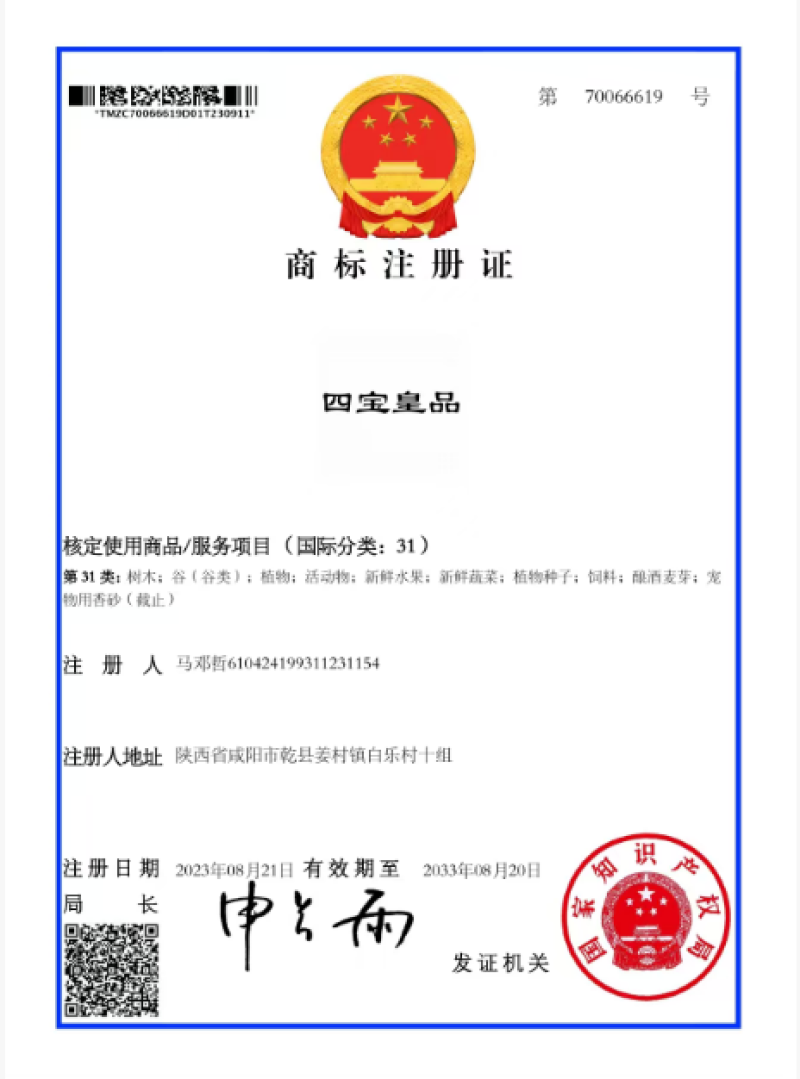 红富士苹果纸袋红富士，乾州【四宝皇品】水果品质严选
