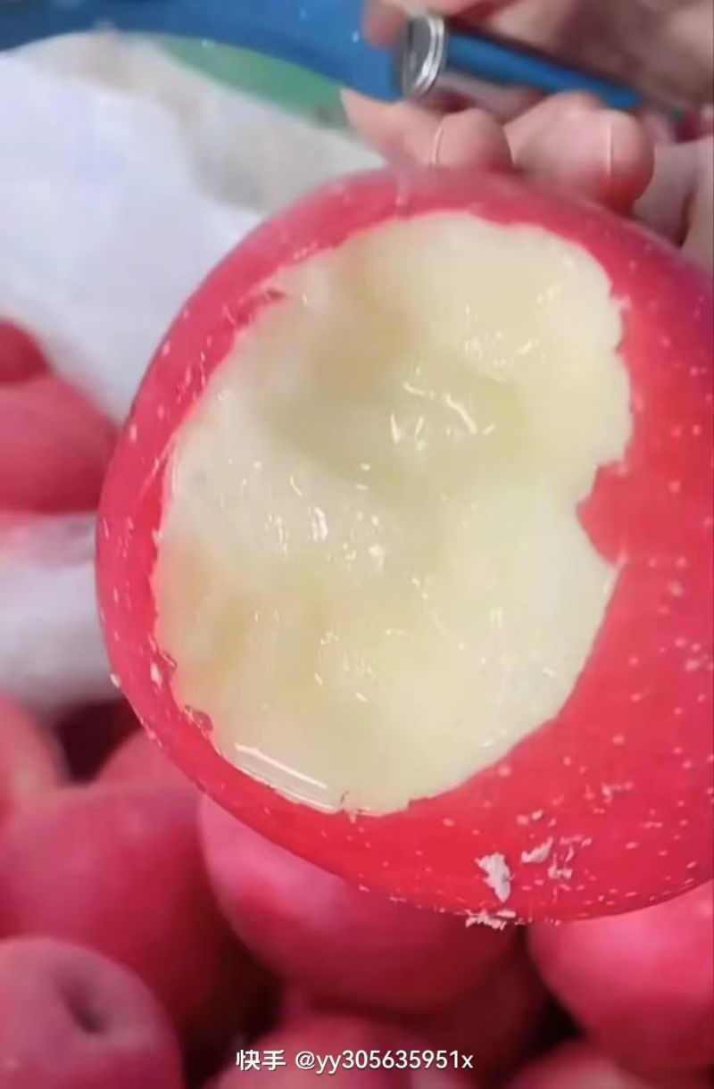 【包熟包甜】正宗宁夏硒砂瓜现摘现发无中间商皮薄多汁