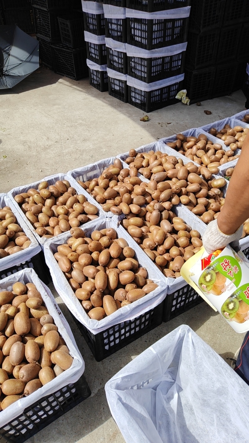 陕西省渭南市老林农副产品，生鲜水果代办