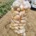 山东土豆平度土豆黄心土豆冷库土豆荷兰十五土豆沃土土豆