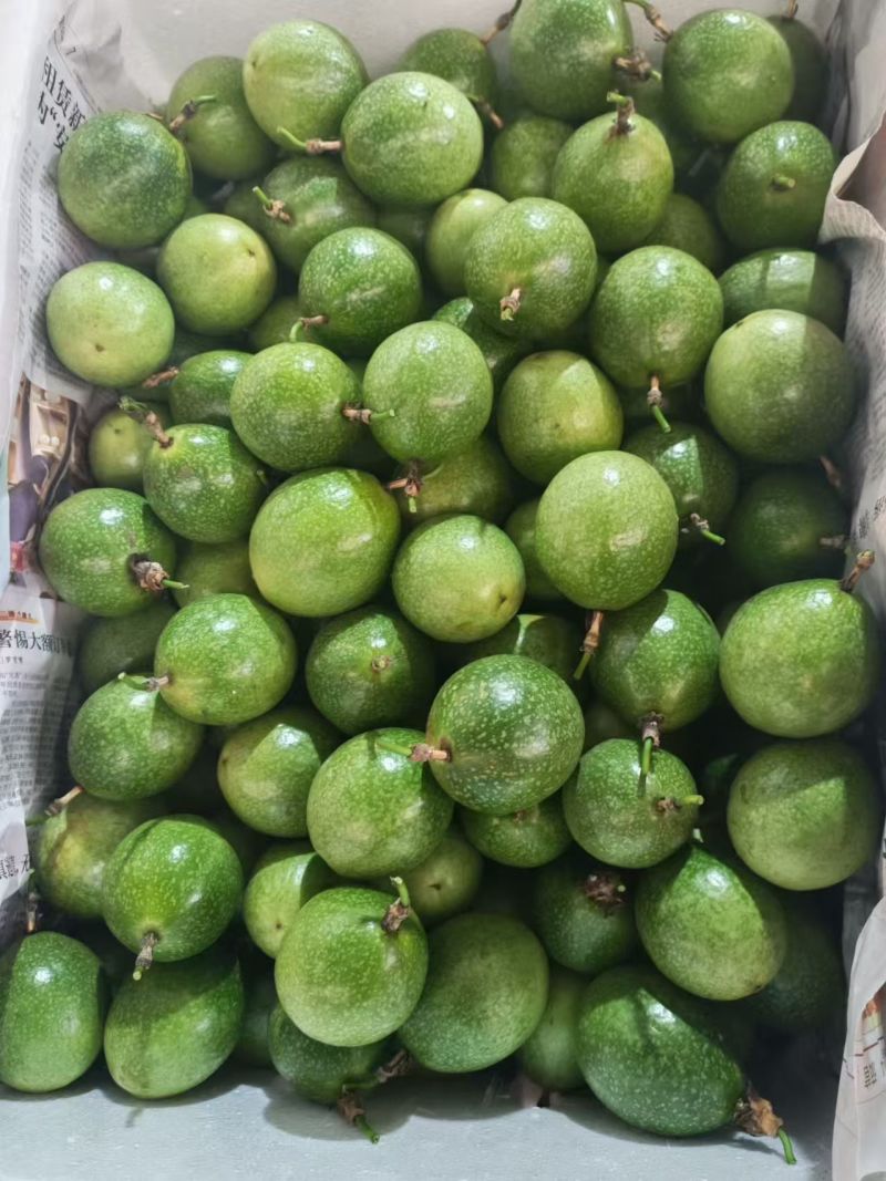 【推荐】黄金百香果一手货源供应市场商超电商量大从优