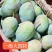【推荐】凯特芒芒果一手货源供应市场商超电商量大从优