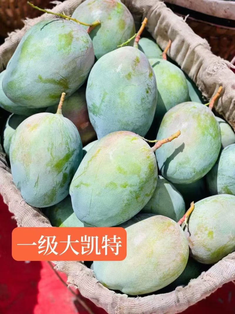【推荐】凯特芒芒果一手货源供应市场商超电商量大从优