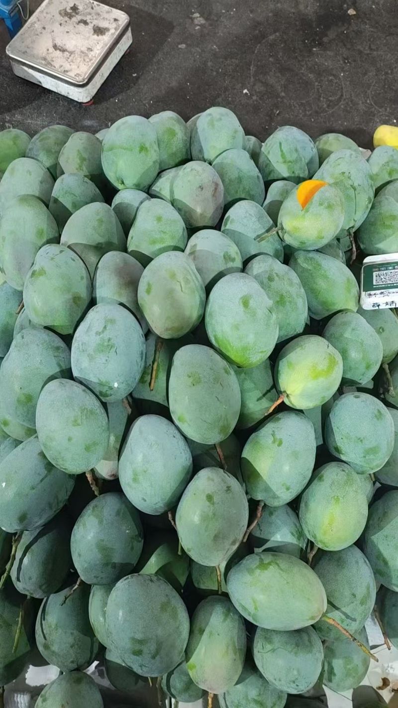 【推荐】凯特芒芒果一手货源供应市场商超电商量大从优