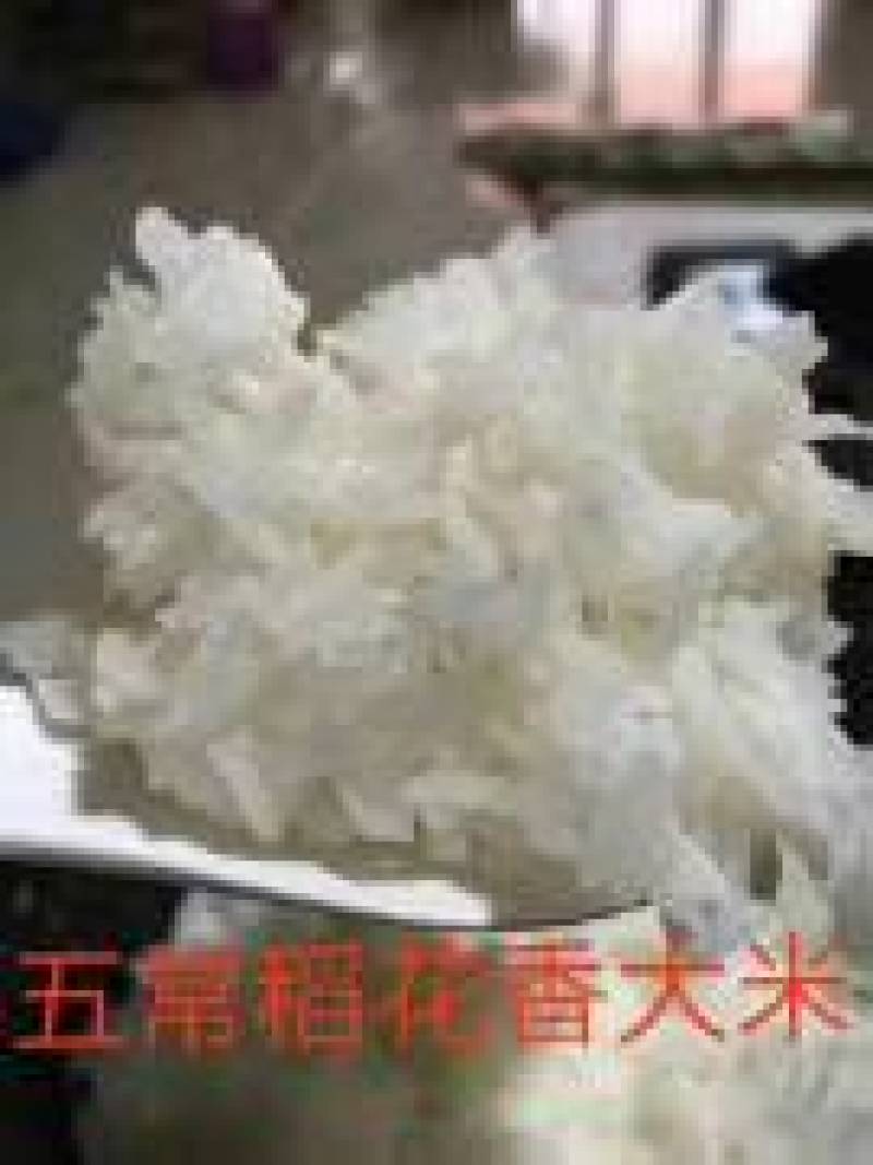 五常稻花香2号五常大米稻花香大米产地大量供欢迎来