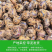 《马蹄》珍珠马蹄/毛马蹄/产地货源/一件代发/电商直播