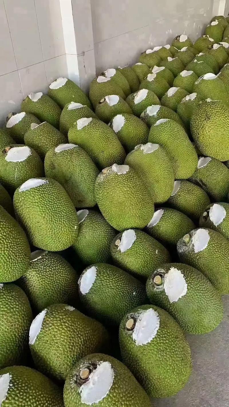 泰八菠萝蜜红肉奶香味基地新鲜直发品质保障可整车走一件代发