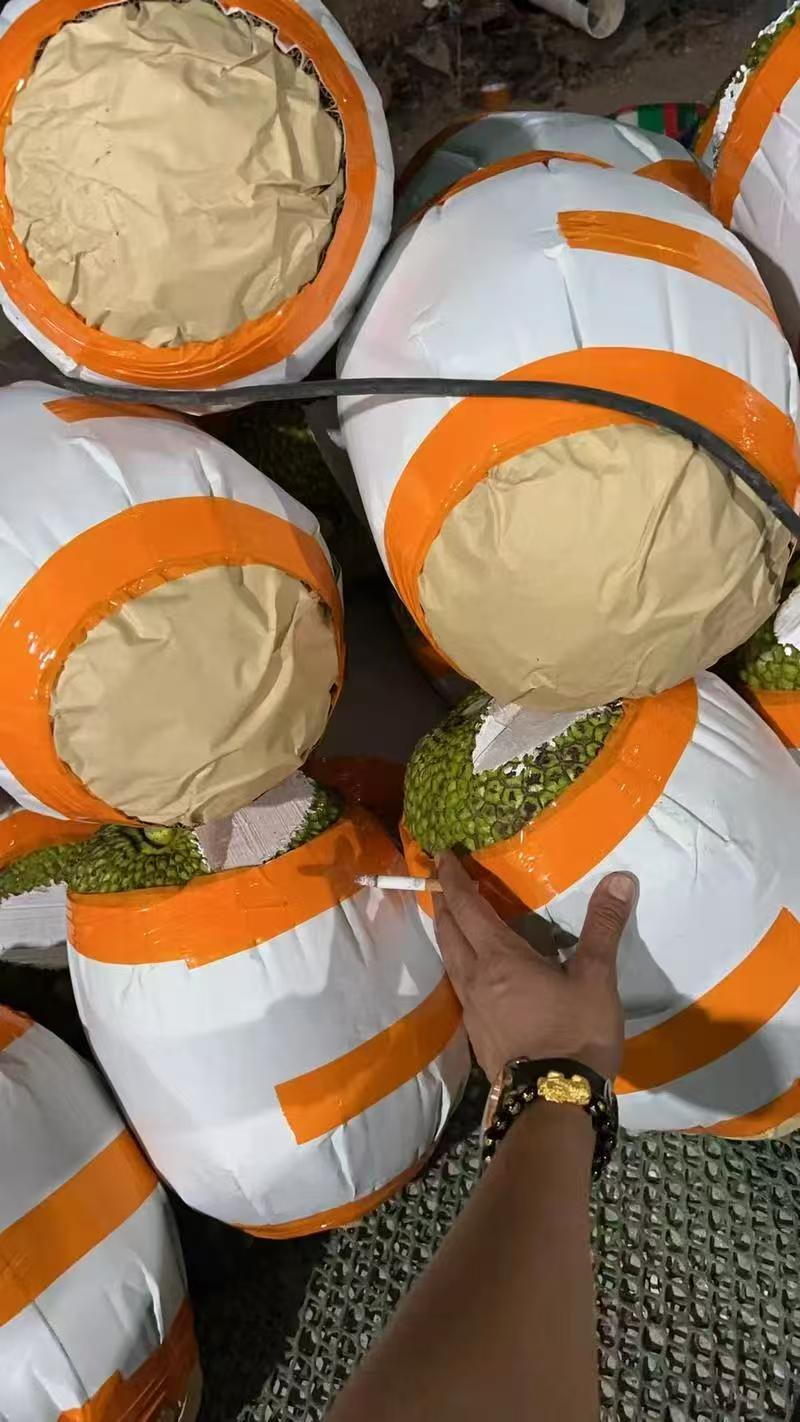 泰八菠萝蜜红肉奶香味基地新鲜直发品质保障可整车走一件代发