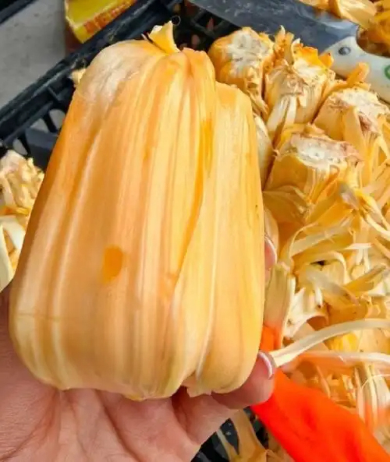 泰八菠萝蜜红肉奶香味基地新鲜直发品质保障可整车走一件代发