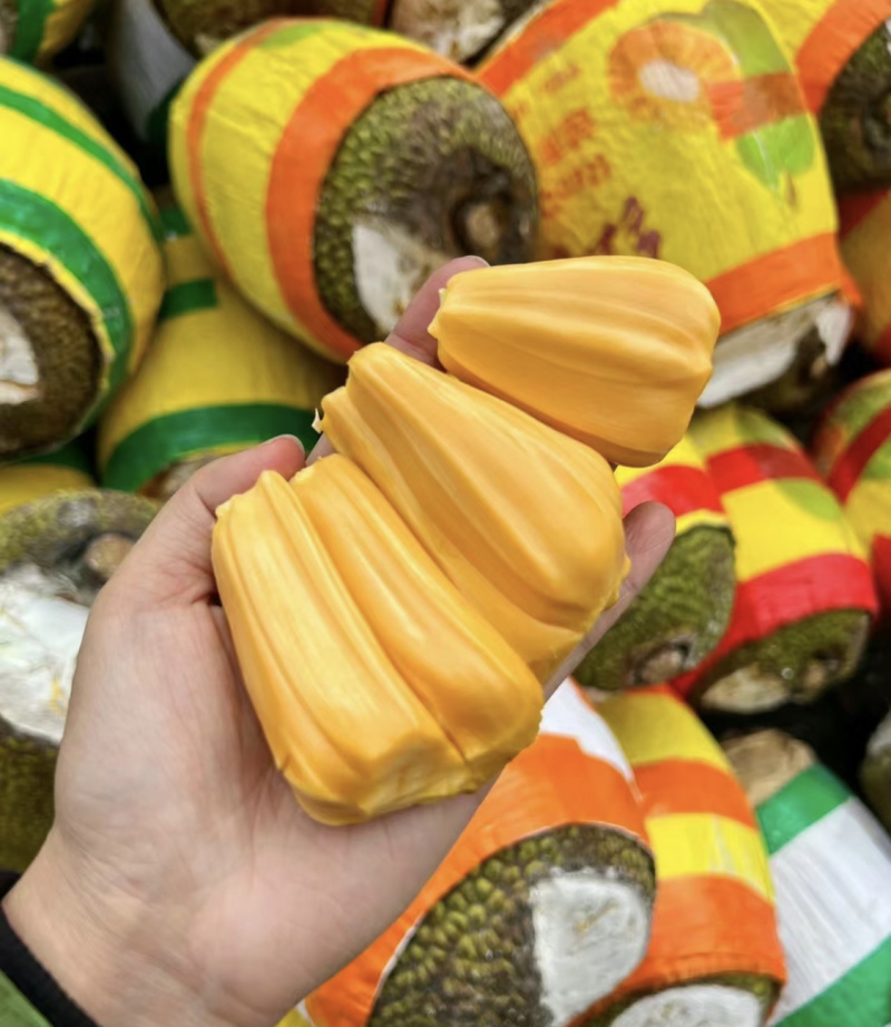 泰八菠萝蜜红肉奶香味基地新鲜直发品质保障可整车走一件代发