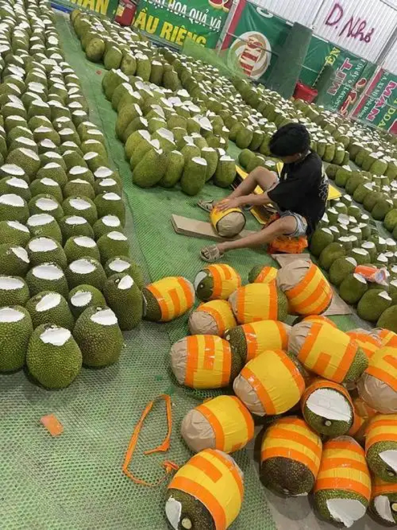 泰八菠萝蜜红肉奶香味基地新鲜直发品质保障可整车走一件代发