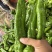 【实力推荐】泡椒鲜辣椒量大质优规格齐全欢迎各大老板采购