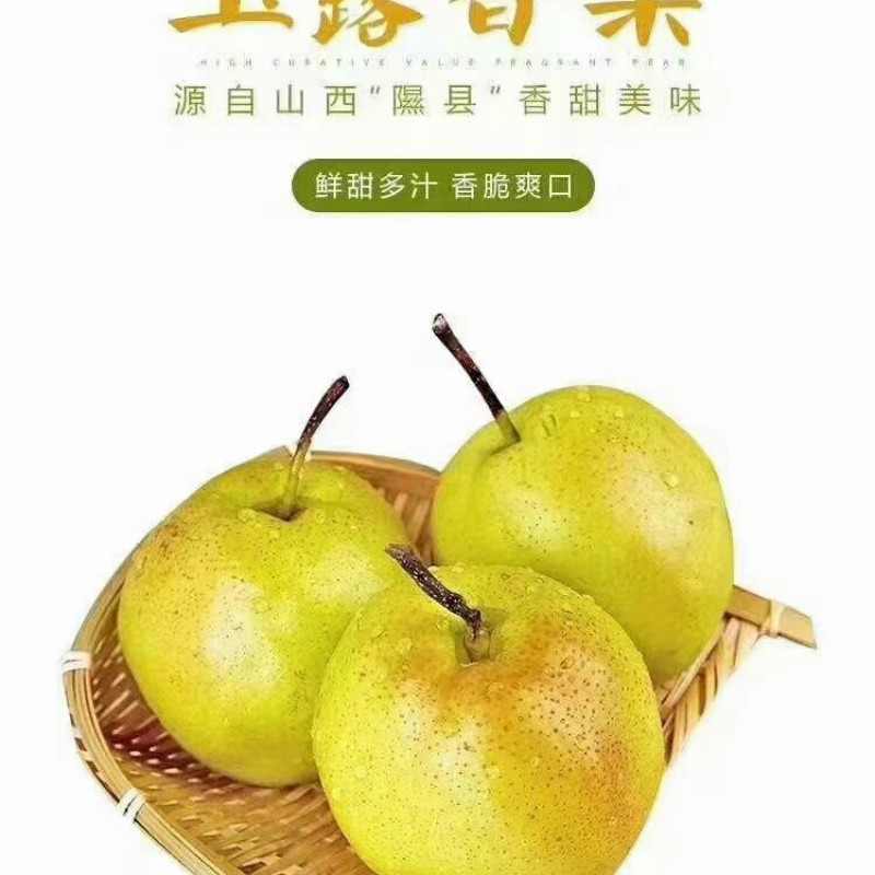 山西隰县玉露香梨，红富士苹果