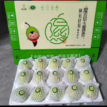 山西隰县玉露香梨，红富士苹果