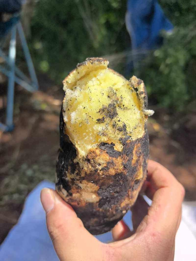 泸沽湖高原生态土豆红皮黄心土豆产地直供大量有货全国发货