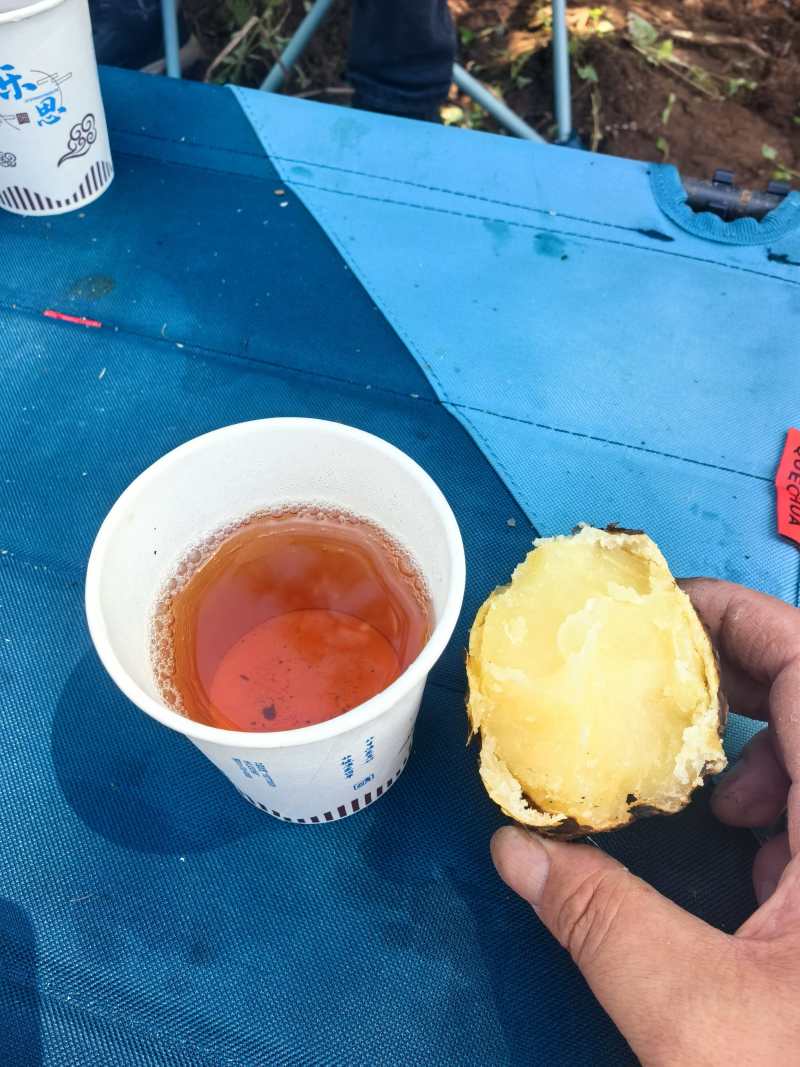 泸沽湖高原生态土豆红皮黄心土豆产地直供大量有货全国发货