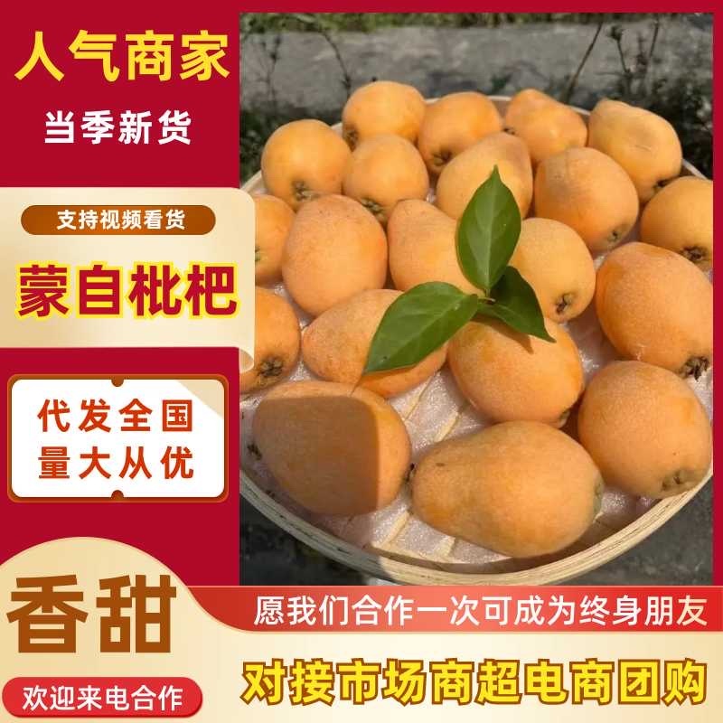 雅安汉源早钟五星枇杷五星枇杷大量上市代收，代发口感纯正