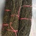 无绳子精品电商