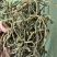 无绳子精品电商