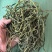 无绳子精品电商