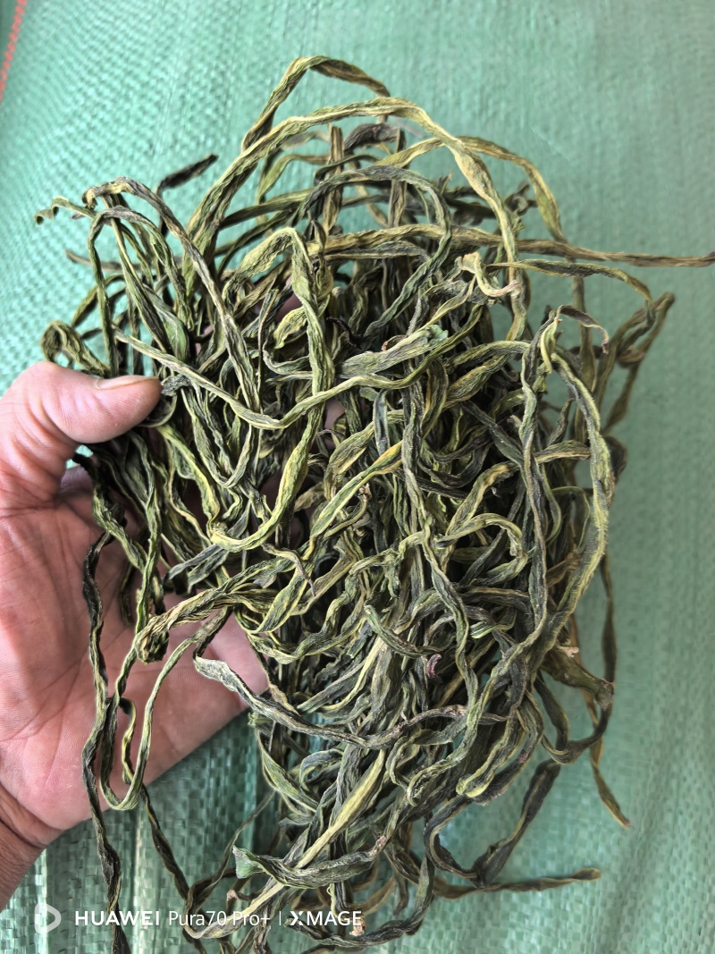 无绳子精品电商