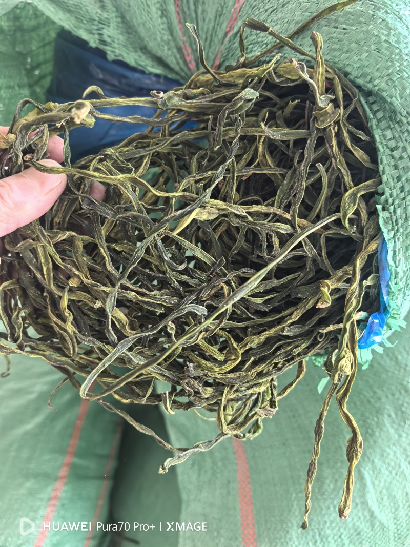 无绳子精品电商