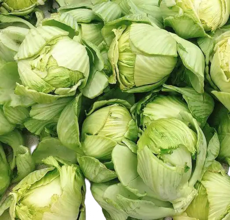 小叶芥，大叶青菜