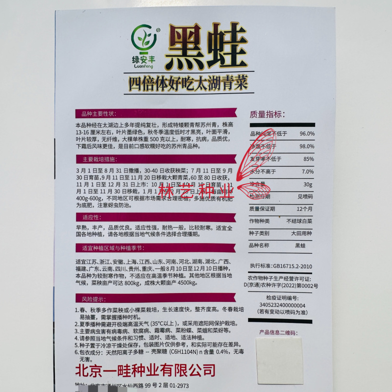 黑蛙四倍体好吃太湖青菜种子软糯微甜矮箕黑亮苏州青菜