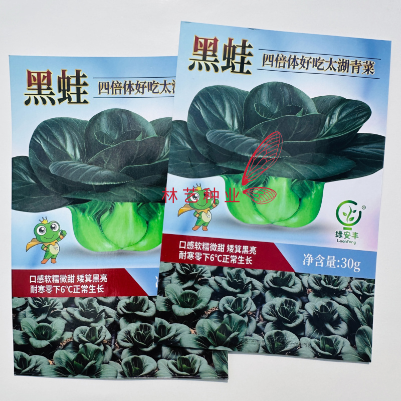 黑蛙四倍体好吃太湖青菜种子软糯微甜矮箕黑亮苏州青菜