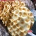 厂家直发三秦味石子馍石子饼椒叶味原味陕西特产传统美食