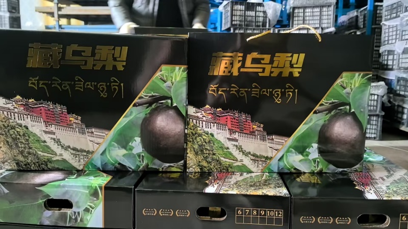 藏乌梨，超甜，爆汁黑梨