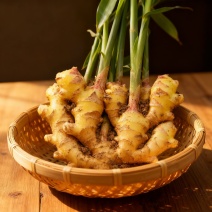 山东大姜