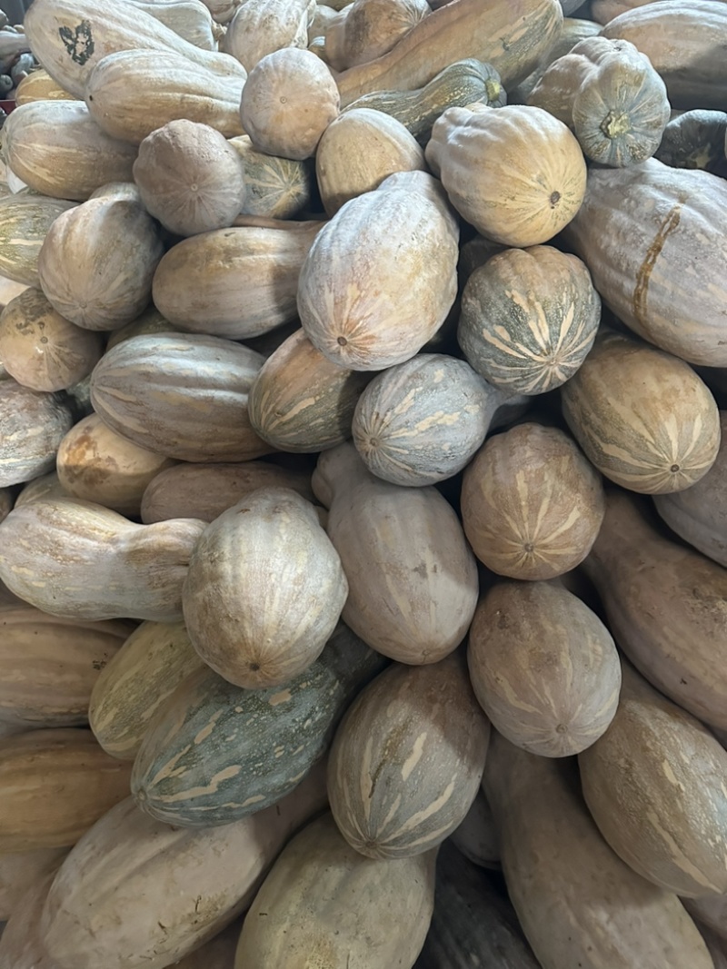 南瓜，口感好，甜大量供应，价格美丽，需要的老板联系