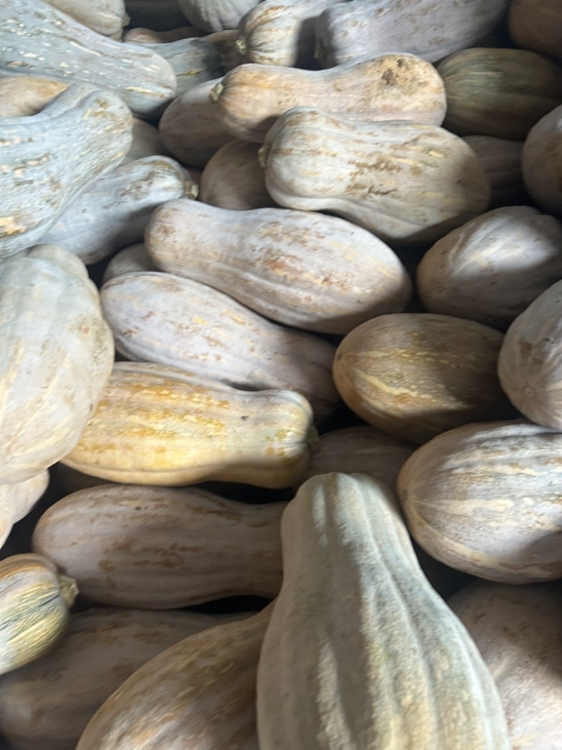南瓜，口感好，甜大量供应，价格美丽，需要的老板联系