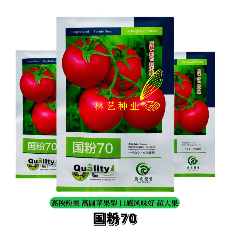 国粉70番茄种子高产抗病皮厚高圆粉红西红柿种籽