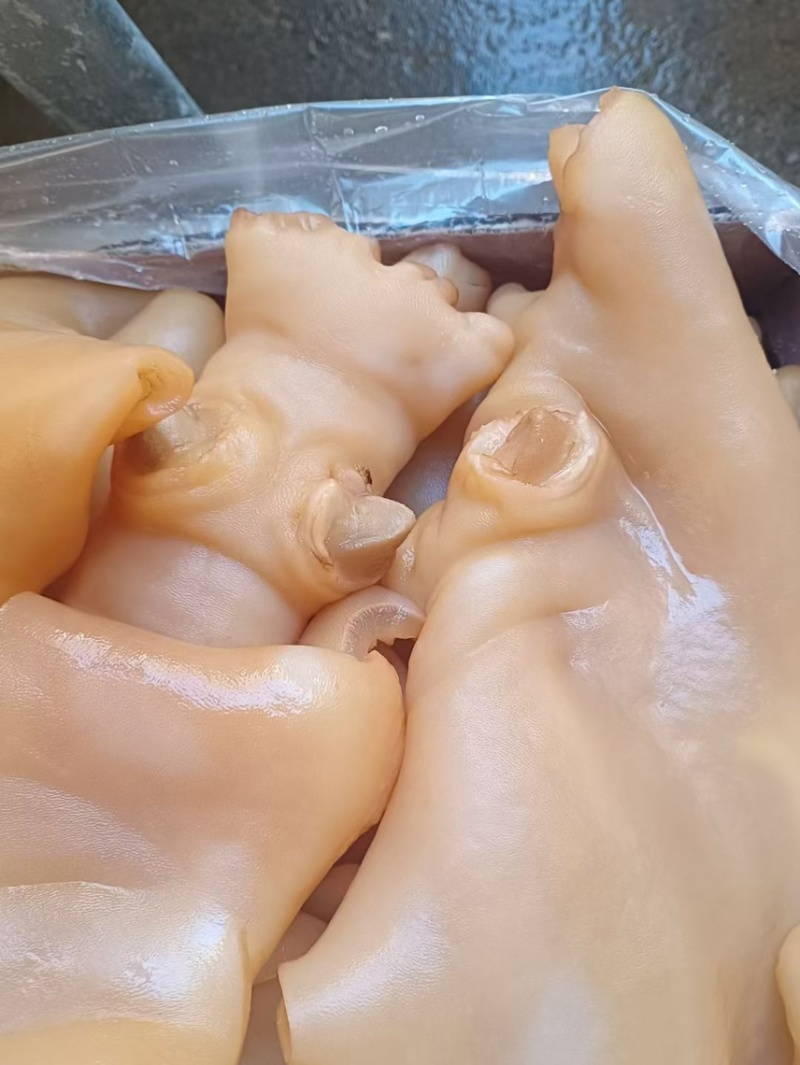 熟牛蹄皮