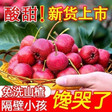 山东山楂～大五棱山楂～甜红子～大金星对接各大电商一件代发
