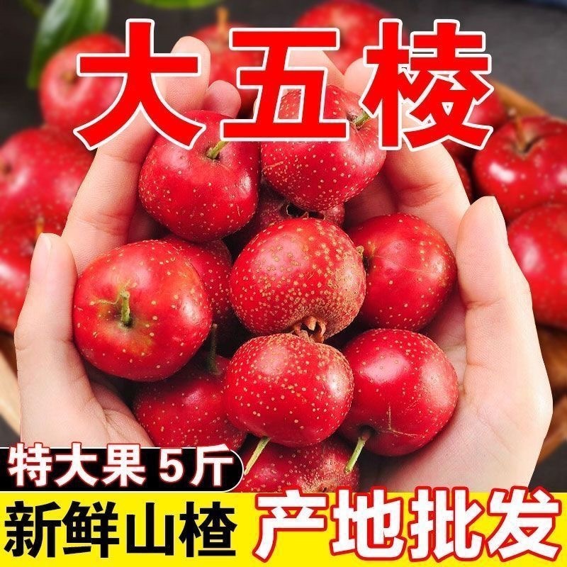 山东山楂～大五棱山楂～甜红子～大金星对接各大电商一件代发