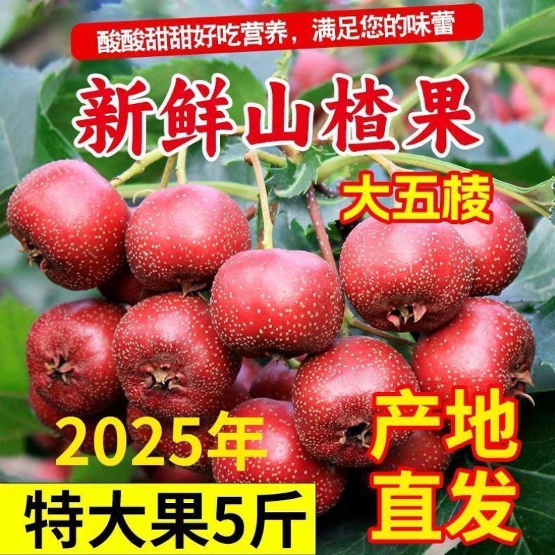 山东山楂～大五棱山楂～甜红子～大金星对接各大电商一件代发
