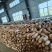 500亩蜜本南瓜香糯可口，**食堂采购，欢迎品尝