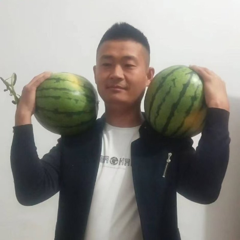 河南头茬无籽美都/麒麟西瓜/电商货/市场货/产地直供