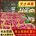 《红富士苹果》天水高山套袋红富士/现摘现发/产地代发全国