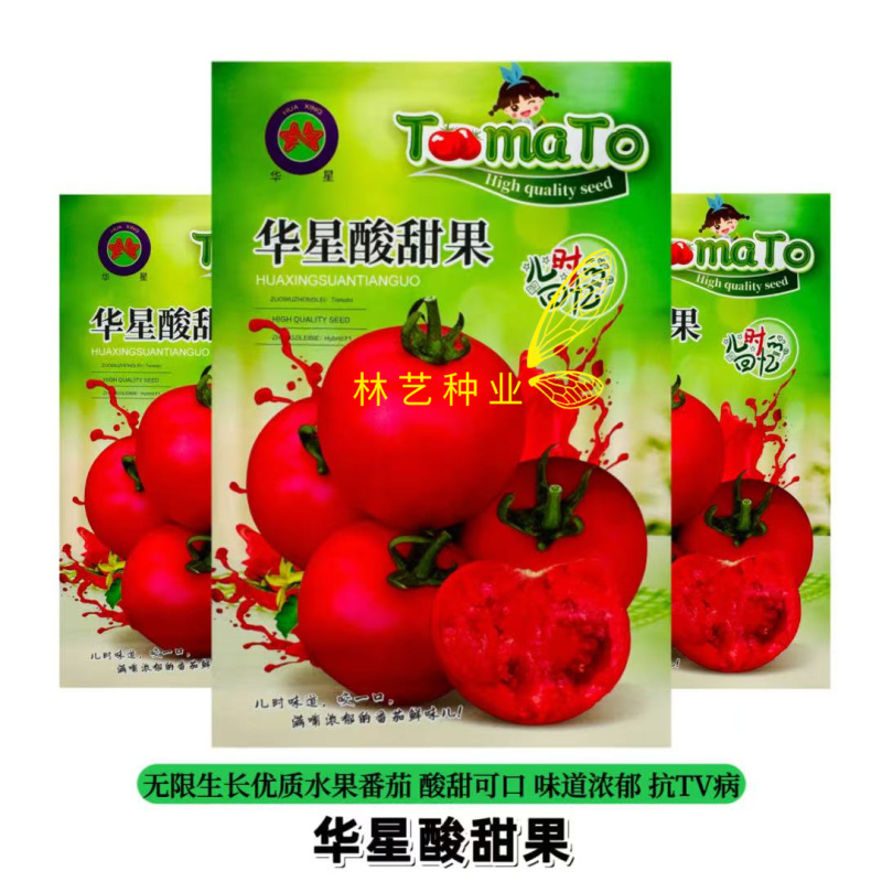 华星酸甜果水果番茄种子口感好无限生长高产抗TY病春秋播