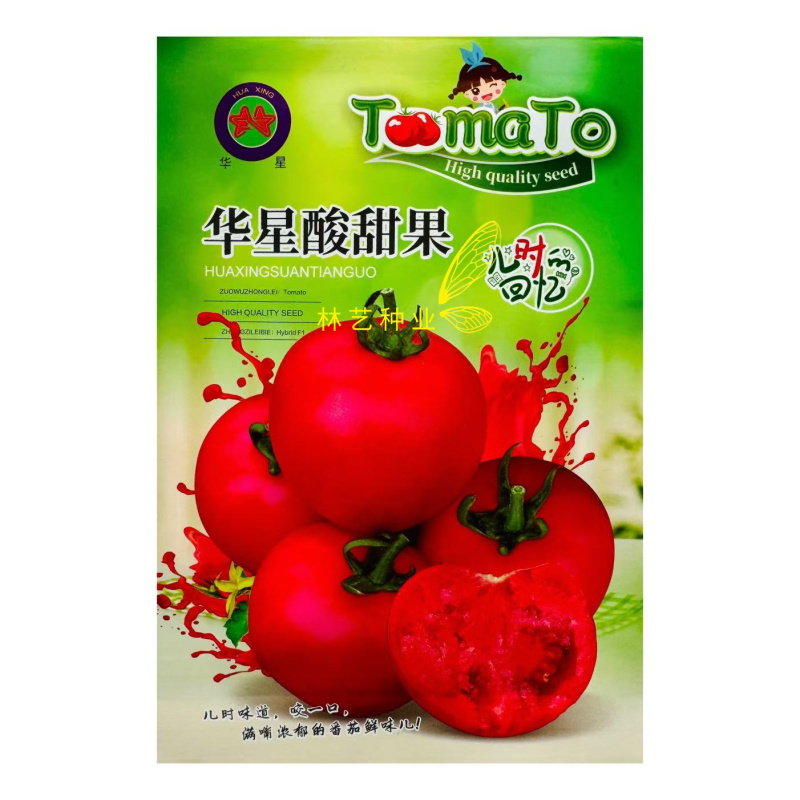 华星酸甜果水果番茄种子口感好无限生长高产抗TY病春秋播