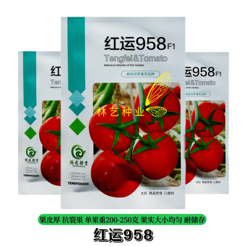 红运958番茄种子早熟耐低温弱光果实高圆苹果型厚皮耐运
