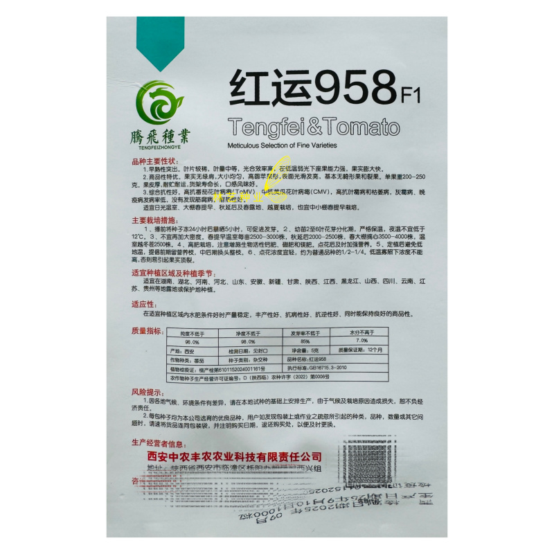 红运958番茄种子早熟耐低温弱光果实高圆苹果型厚皮耐运