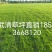 四季青混播草