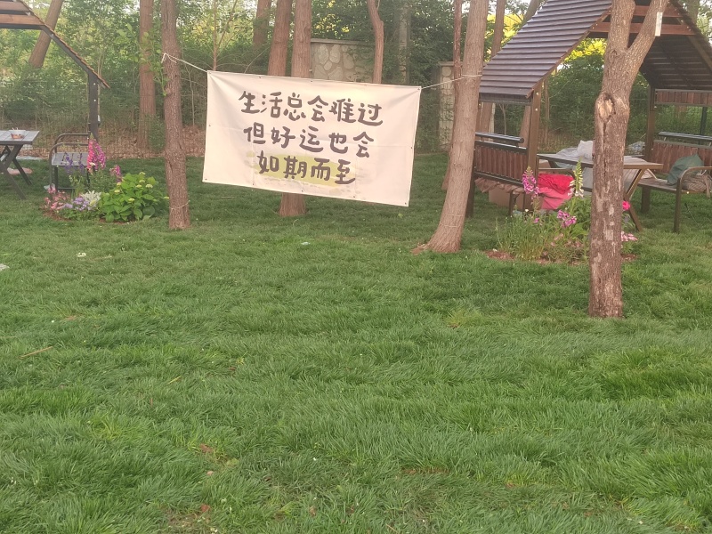四季青混播草