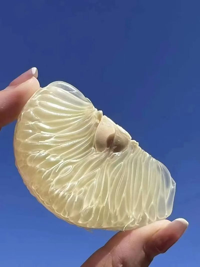 正宗雪峰柚