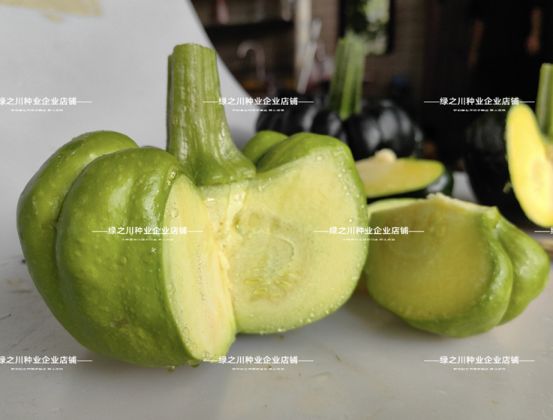 云南特产姜柄瓜种子早熟嫩南瓜柿饼状姜饼南瓜种籽特色品种